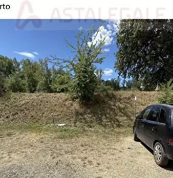 Foto annuncio 6