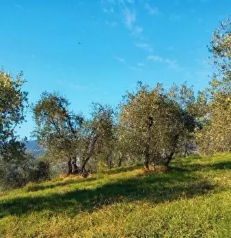 Foto annuncio 1