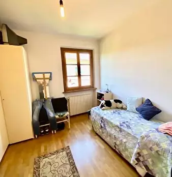 Foto annuncio 19