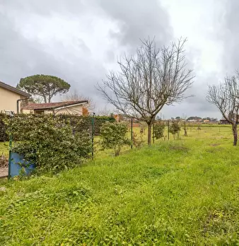 Foto annuncio 23