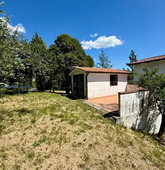 Foto annuncio 12
