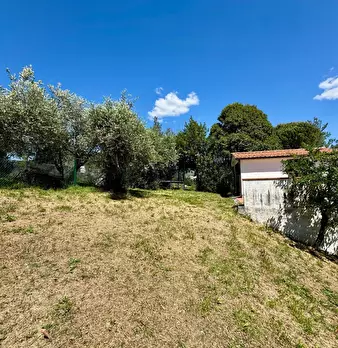 Foto annuncio 24
