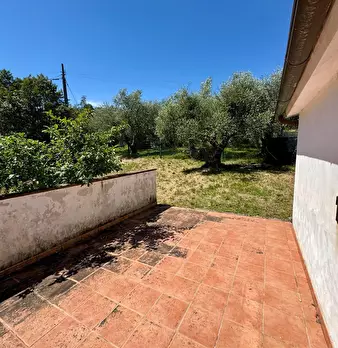 Foto annuncio 22