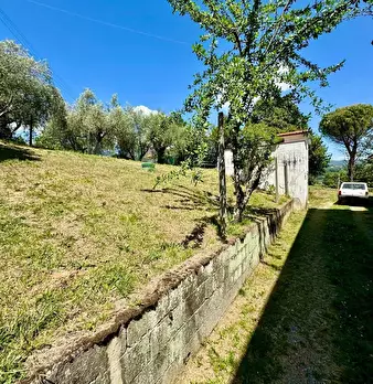 Foto annuncio 25