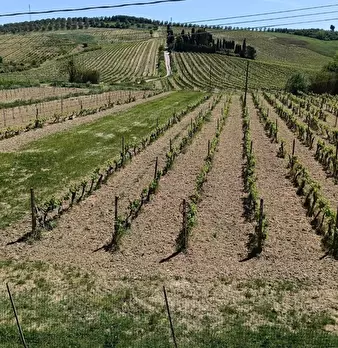 Foto annuncio 32
