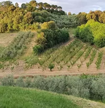 Foto annuncio 3