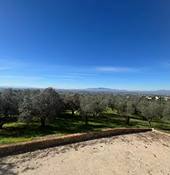 Foto annuncio 18