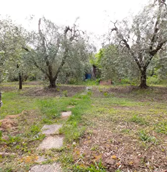 Foto annuncio 53