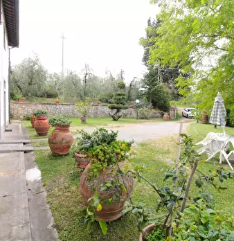 Foto annuncio 41