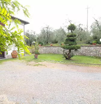 Foto annuncio 38