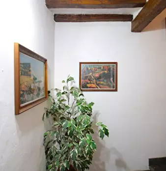 Foto annuncio 35