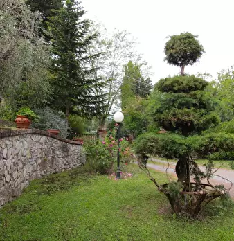 Foto annuncio 59
