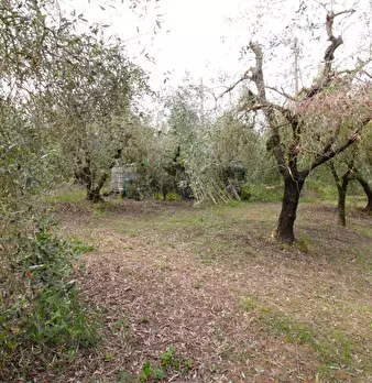 Foto annuncio 54
