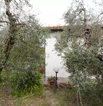 Foto annuncio 58