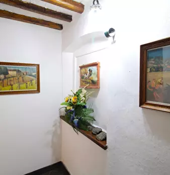 Foto annuncio 33