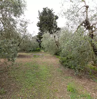 Foto annuncio 57