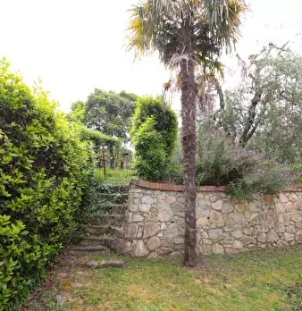 Foto annuncio 46