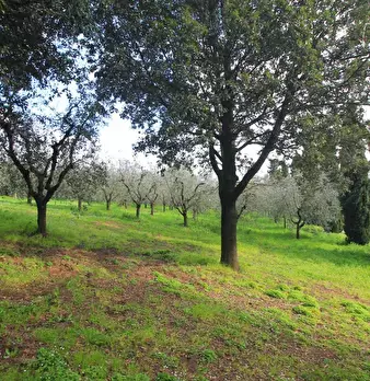 Foto annuncio 23