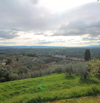 Foto annuncio 5