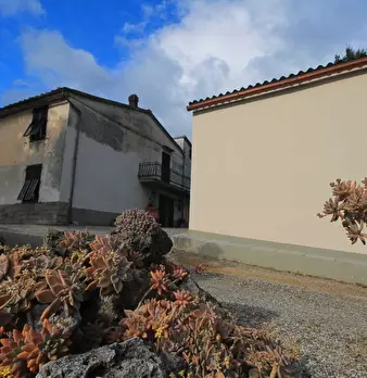 Foto annuncio 19