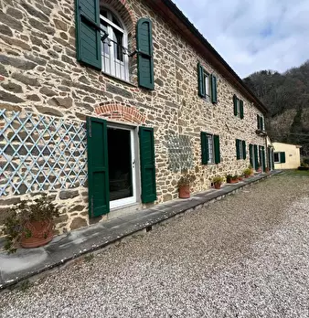 Foto annuncio 12