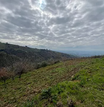 Foto annuncio 57