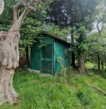 Foto annuncio 1