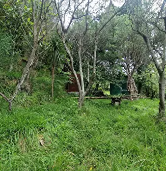 Foto annuncio 5