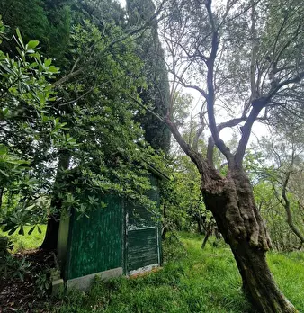 Foto annuncio 8