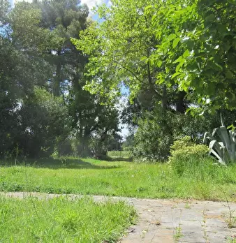 Foto annuncio 53