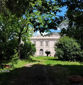 Foto annuncio 3