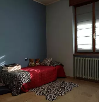 Foto annuncio 6