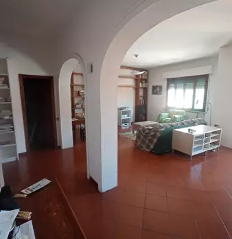 Foto annuncio 12