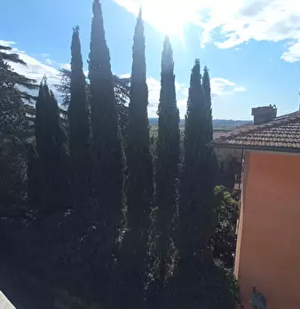 Foto annuncio 15