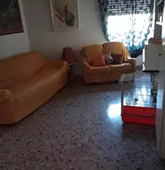 Foto annuncio 4