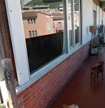 Foto annuncio 25