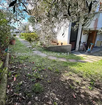 Foto annuncio 30