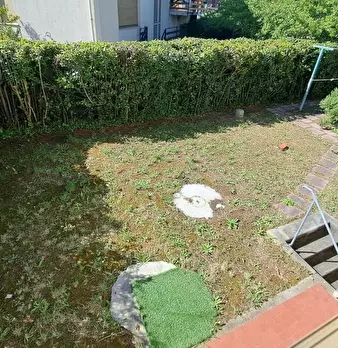 Foto annuncio 23