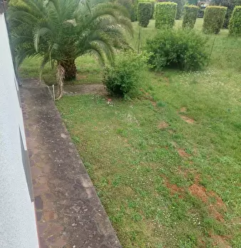 Foto annuncio 19