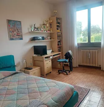 Foto annuncio 11