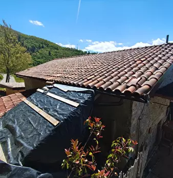 Foto annuncio 24