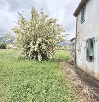 Foto annuncio 9
