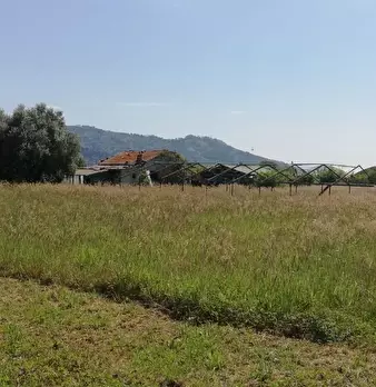 Foto annuncio 12