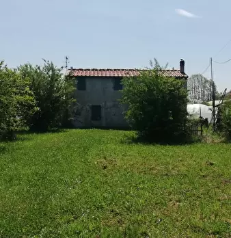 Foto annuncio 3