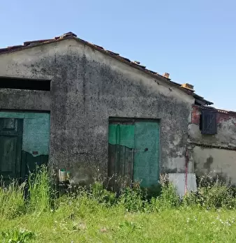 Foto annuncio 11