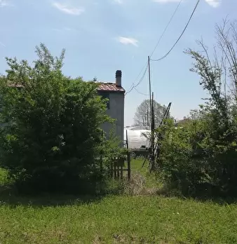 Foto annuncio 5