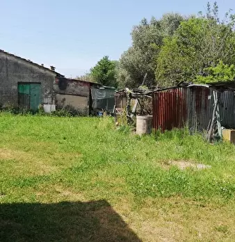 Foto annuncio 10