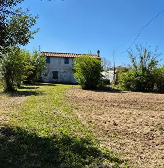 Foto annuncio 1
