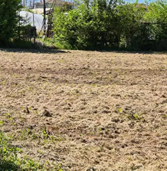 Foto annuncio 13