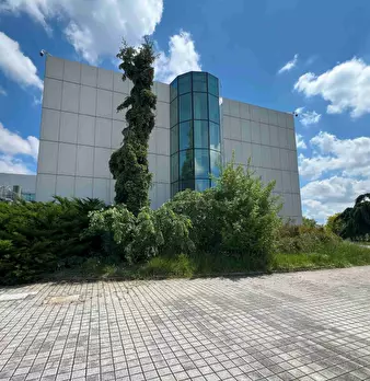 Foto annuncio 5